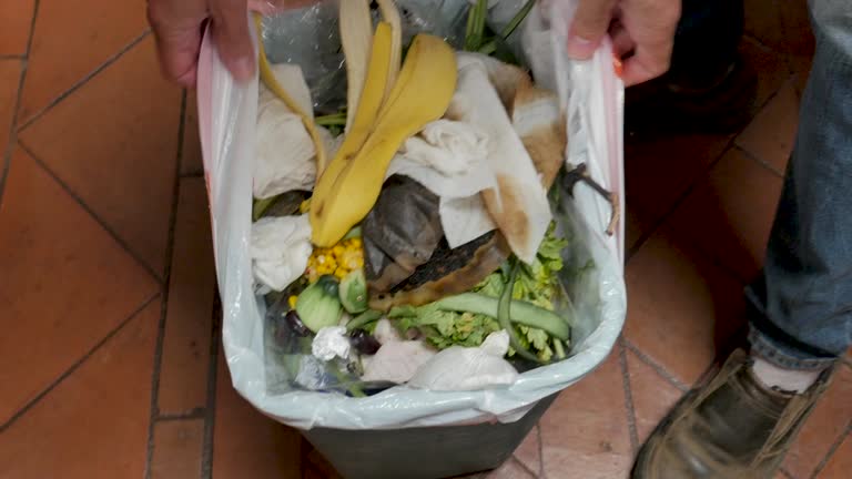 Best Construction Debris Removal  in Otsego, MN
